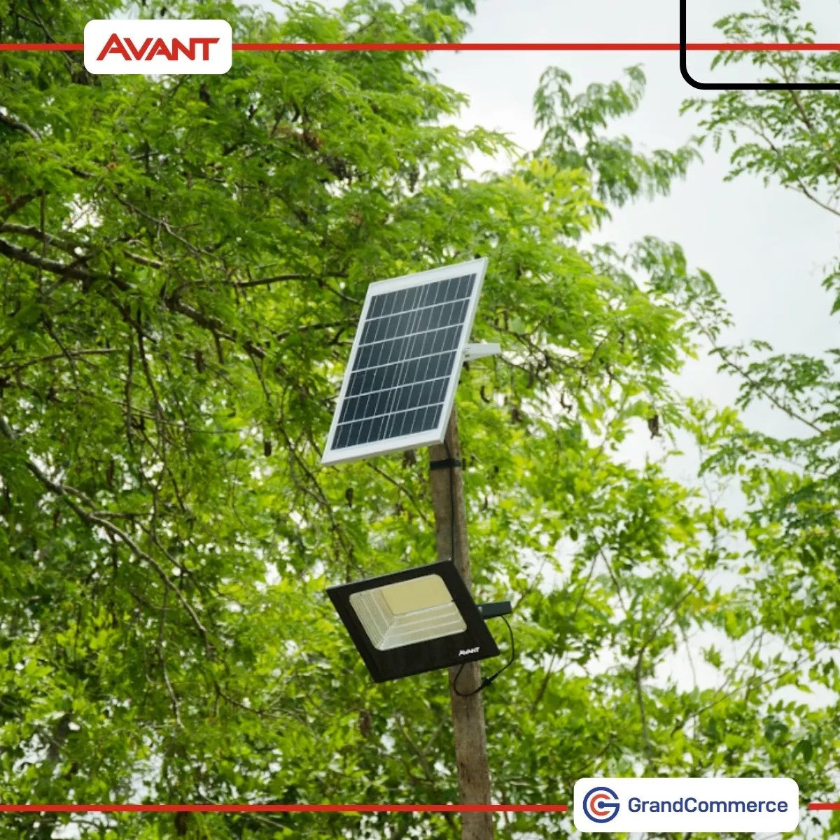 Refletor Led 60w Solar Sensor De Presença 6500k Avant Cor Da Luz Branco-frio